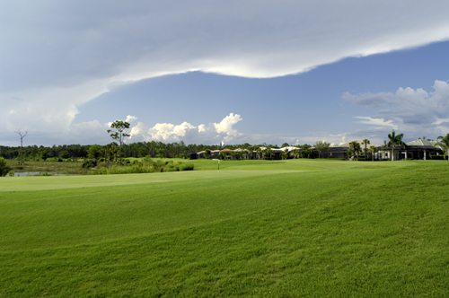 golf-(49).jpg